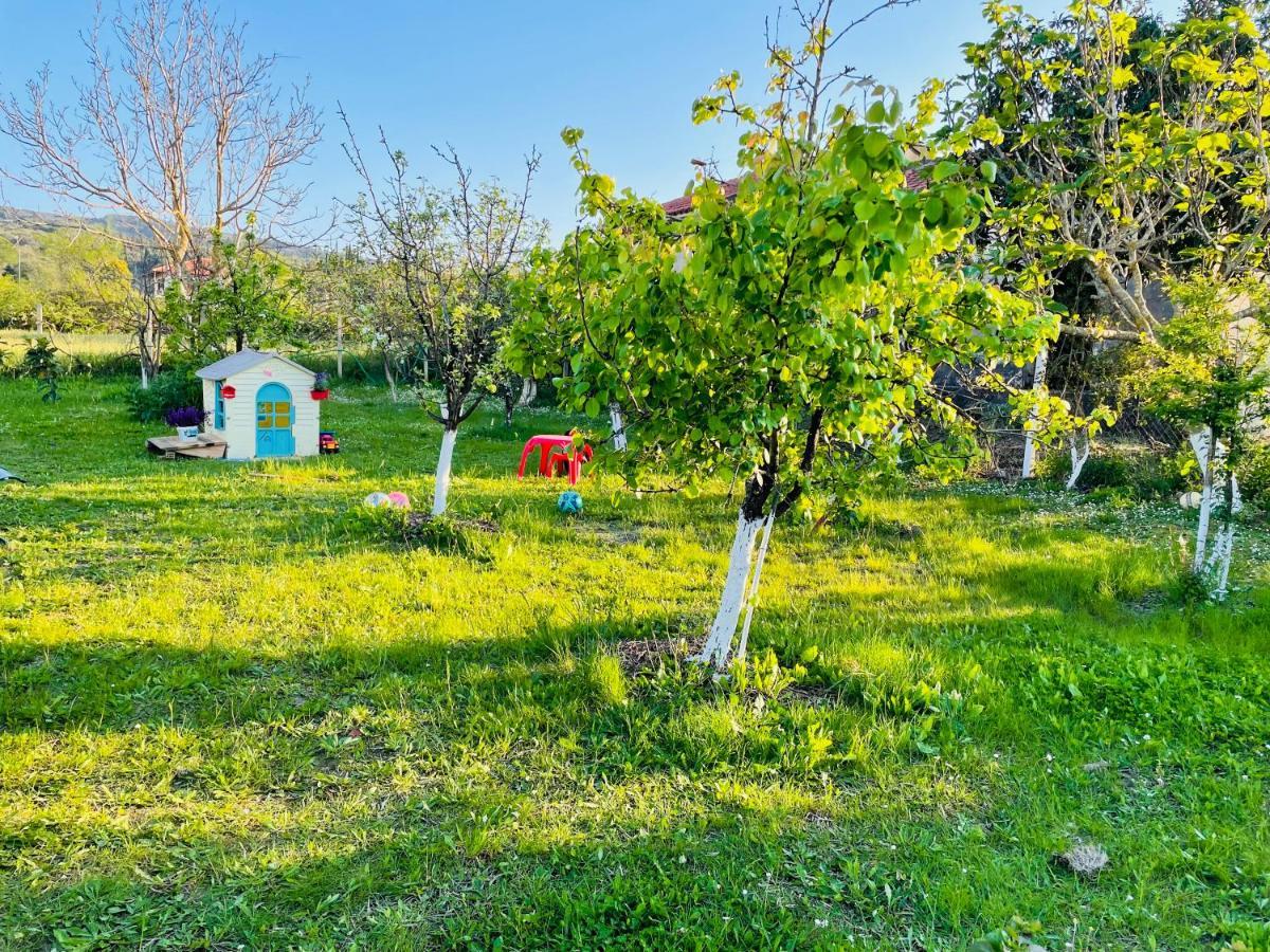 Casa vacanze Agathi *
